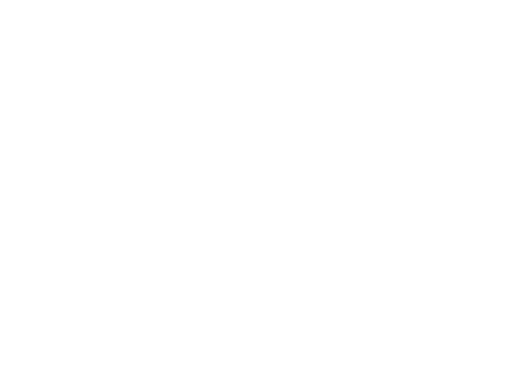 Geechie Vibes Logo